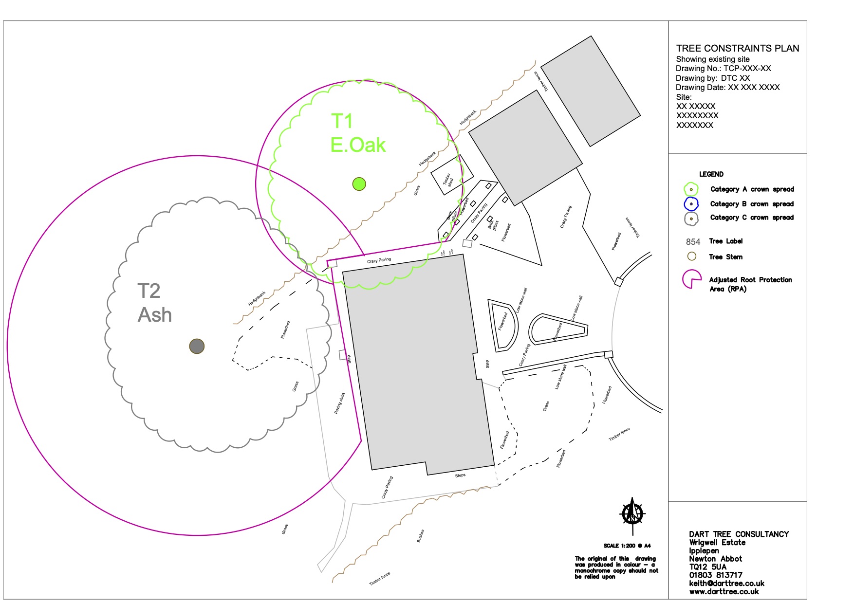 Dart Tree Tree Constraint Plan for a residential development in Devon, Dorset, Cornwall and Somerset