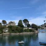 Development near large and important Black pine tree on the River Dart We provided a BS5837 Arboricultural impact assessment for the client to protect retained trees