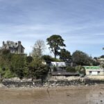 Development on the river dart note large black pine tree with building works nearby