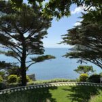 Monterey cypress trees framing the beautiful Kingsbridge estuary from a clients house in Salcombe