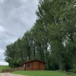Row of poplar trees growing adjacent to holiday lodges we risk assessed the trees for failure and potential to cause death to holiday makers in the lodges