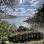 View of the Kingsbridge estuary from Salcombe woods Dartree Consultancy