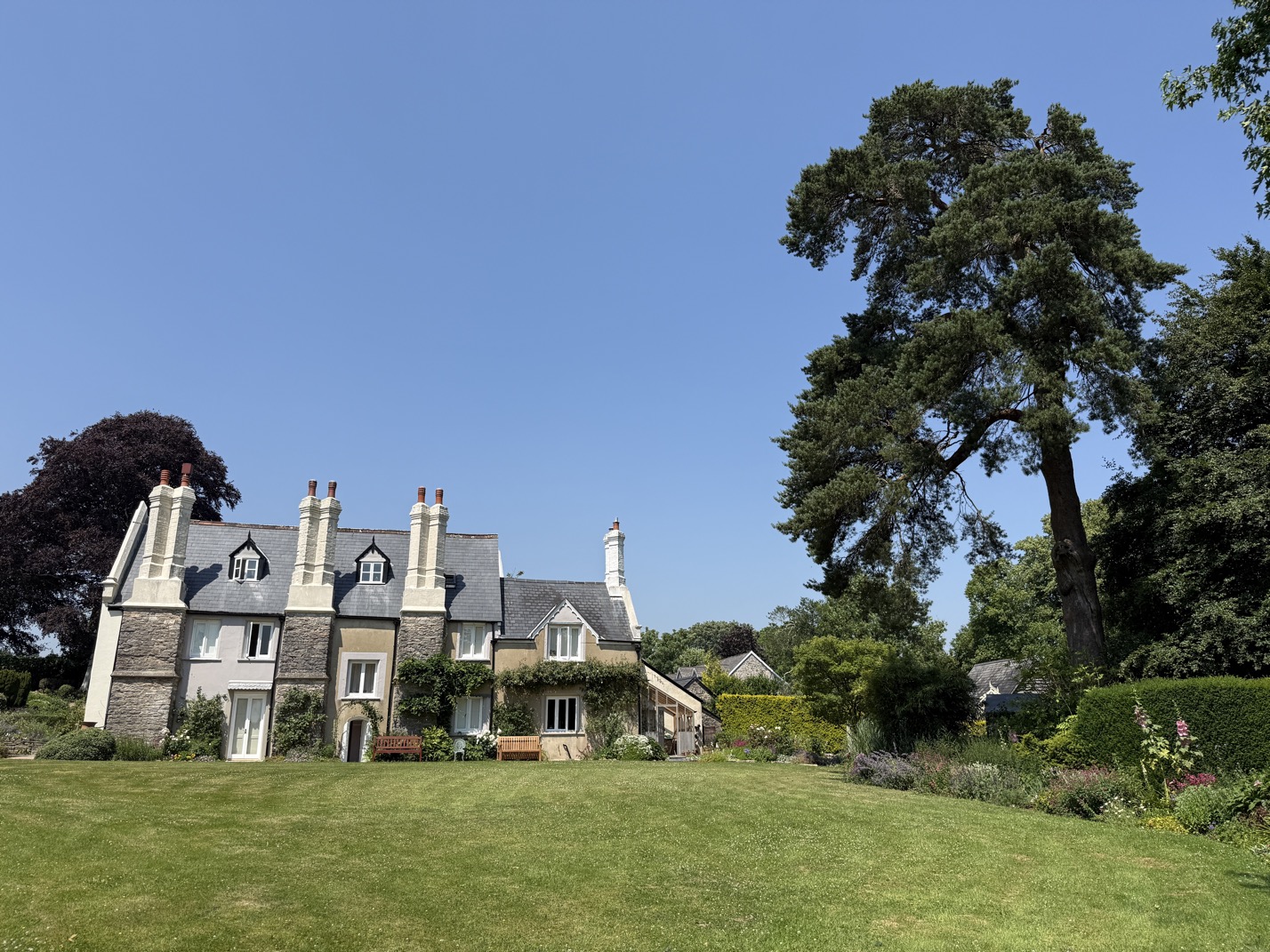 Large tree near listed house
